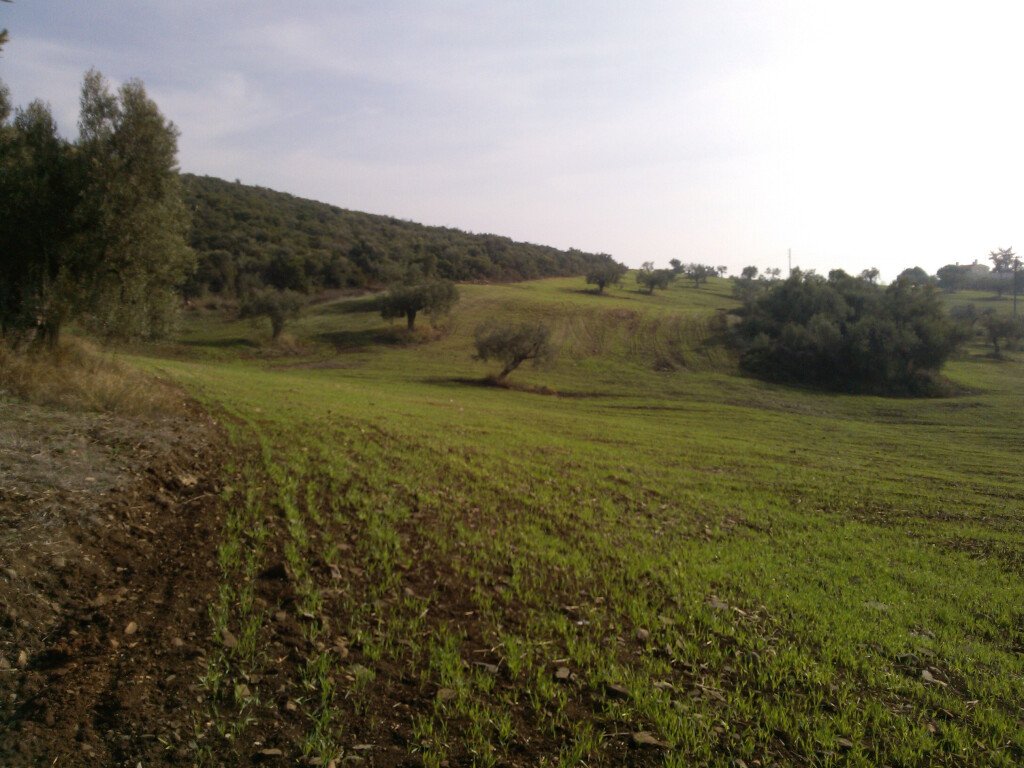 Hotel em Polygyros, Greece 45000 m² N.º 5407