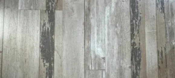 1 bedroom Apartment in Ostholstein, Germany No. 366392 31