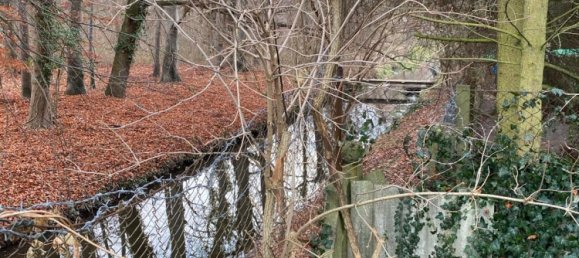 2 rooms House in Stendal, Germany No. 284030 4