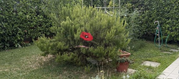 7-Zimmer Haus in Venice, Italy, Nr. 273107 11