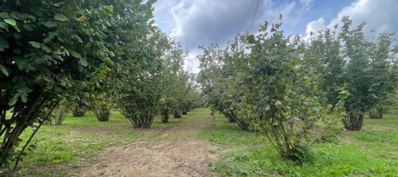 7 rooms House in Cortemilia, Italy No. 116458 7