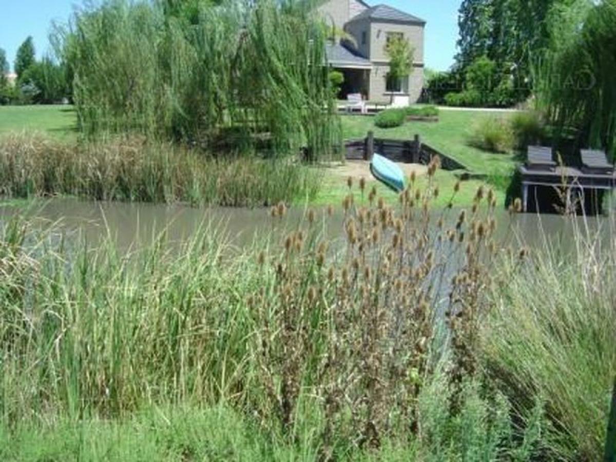  Land in Tigre, Argentina No. 31145