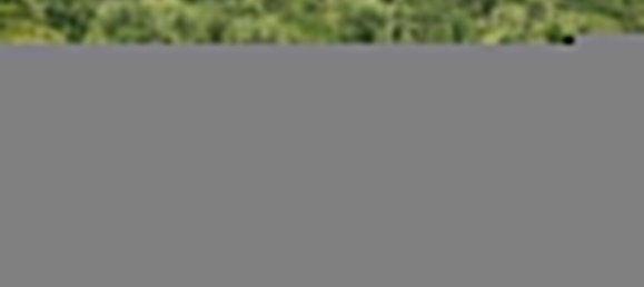 4250m² Land in Mafra, Portugal No. 74103 9