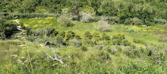 4250m² Land in Mafra, Portugal No. 74103 8