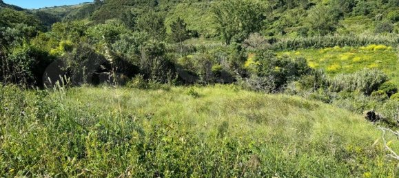 4250m² Land in Mafra, Portugal No. 74103 5