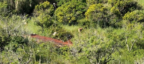 4250m² Land in Mafra, Portugal No. 74103 3