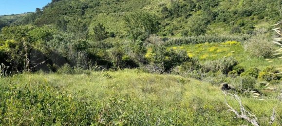 4250m² Land in Mafra, Portugal No. 74103 2