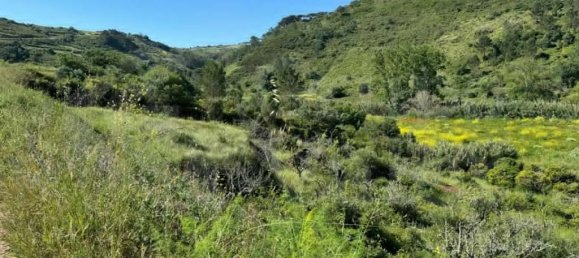 4250m² Land in Mafra, Portugal No. 74103 6