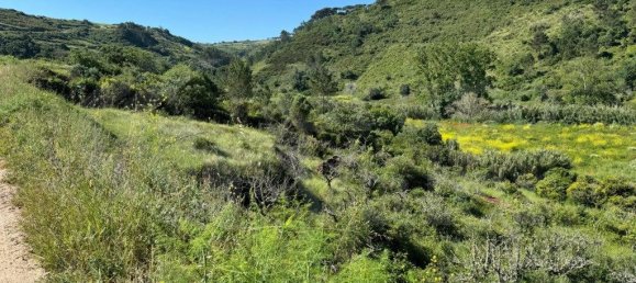 4250m² Land in Mafra, Portugal No. 74103 4