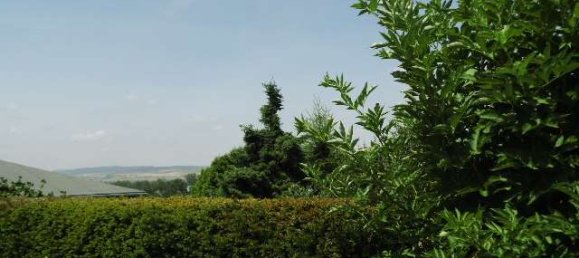 Бунгало с 2 комнатами в Мансфельд-Зюдгарц, Германия № 129722 4