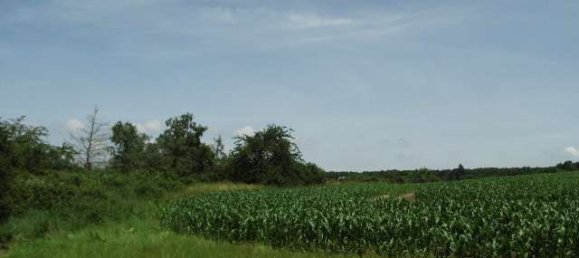 Бунгало с 2 комнатами в Мансфельд-Зюдгарц, Германия № 129722 20