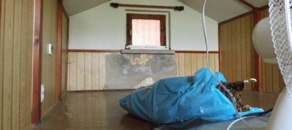 Бунгало с 2 комнатами в Мансфельд-Зюдгарц, Германия № 129722 12