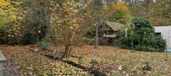 1 chambre Maison à Vorpommern-Greifswald, Germany No. 131157 37