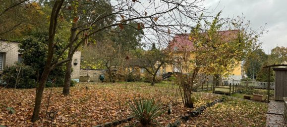 1 chambre Maison à Vorpommern-Greifswald, Germany No. 131157 29