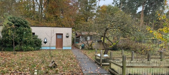 1 chambre Maison à Vorpommern-Greifswald, Germany No. 131157 31