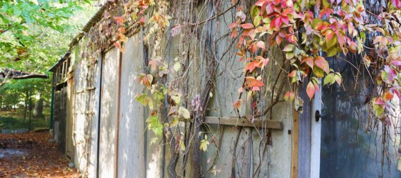 1 chambre Maison à Vorpommern-Greifswald, Germany No. 131157 32