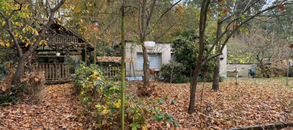 1 chambre Maison à Vorpommern-Greifswald, Germany No. 131157 28