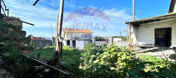 3 bedrooms House in Penacova, Portugal No. 183829 11