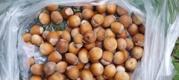 Земельный участок в Кассель, Германия № 217875 13