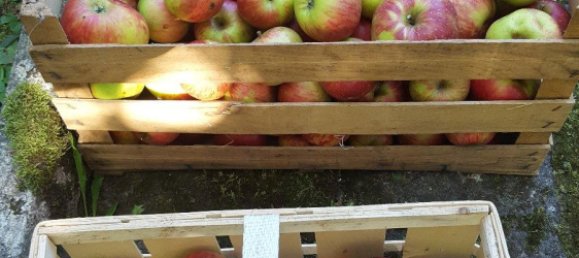 Земельный участок в Кассель, Германия № 217875 12