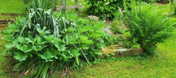 Земельный участок в Кассель, Германия № 217875 6