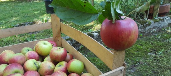 Земельный участок в Кассель, Германия № 217875 11