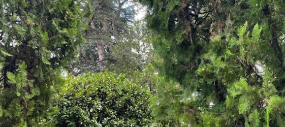 2-Zimmer Wohnung in Rome, Italy, Nr. 2019 29