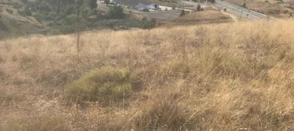 Terreno en El Molar, Spain 11237 m² No. 80195 3