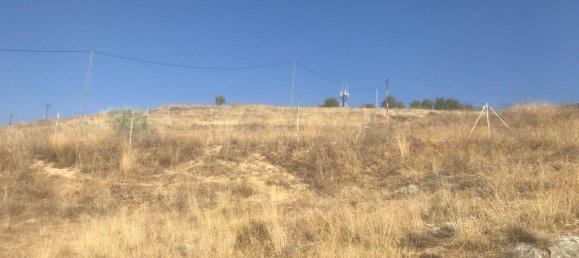 Terreno en El Molar, Spain 11237 m² No. 80195 6