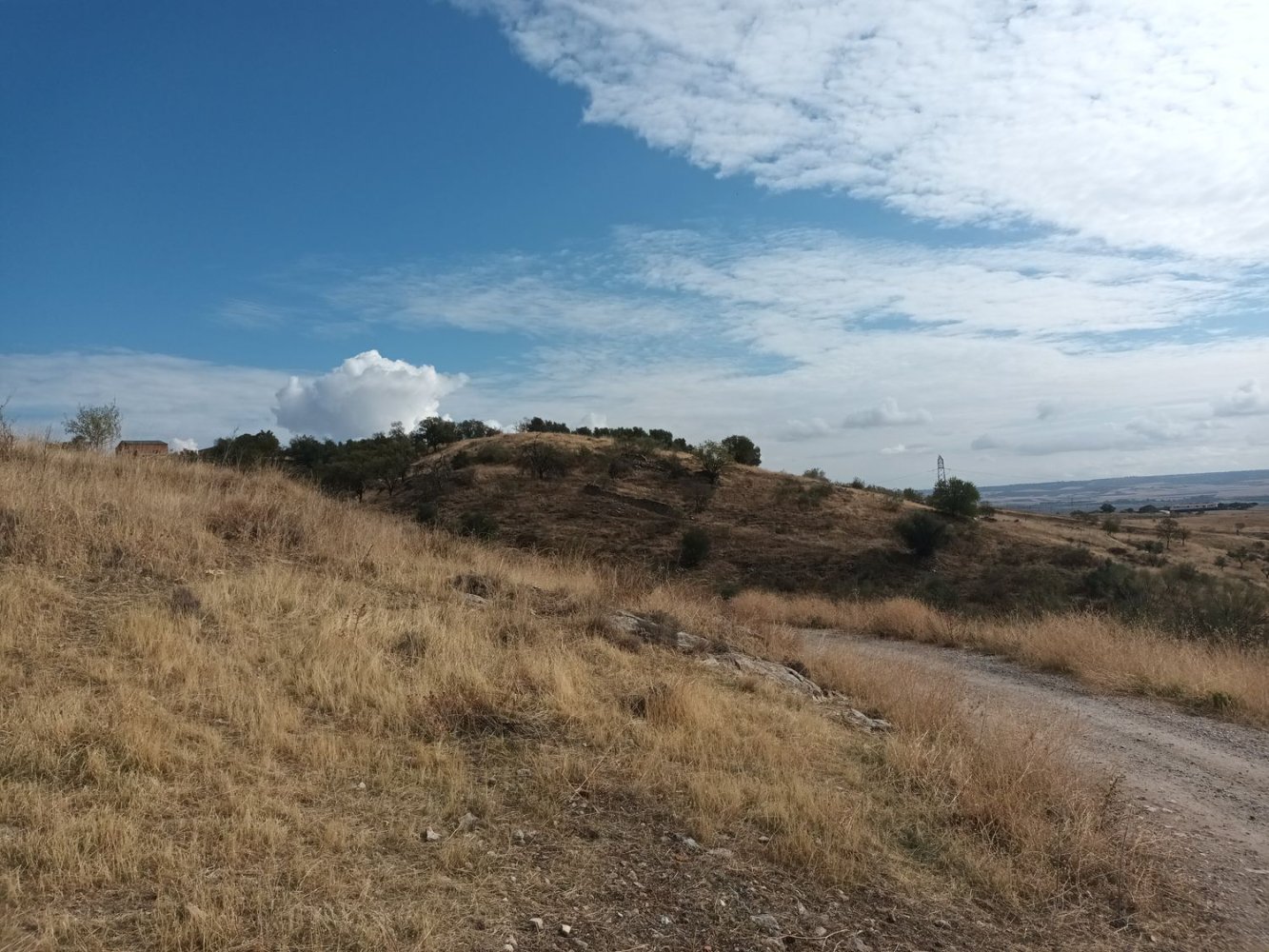 Terreno en El Molar, Spain 11237 m² No. 80195