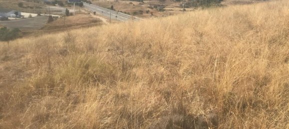 Terreno en El Molar, Spain 11237 m² No. 80195 4