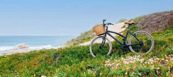 3 غرف نوم فيلا في Caldas da Rainha, Portugal رقم 139175 10