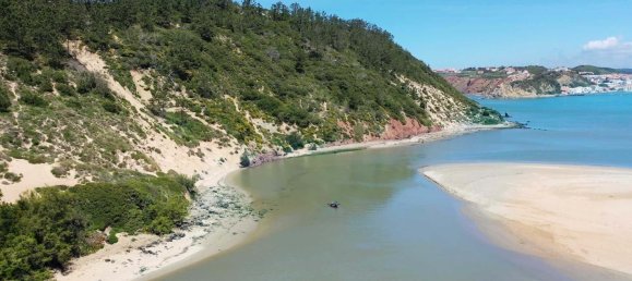 3 غرف نوم فيلا في Caldas da Rainha, Portugal رقم 139175 5