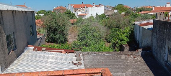 Дом с 5 спальнями в Tolosa, Португалия № 26160 22