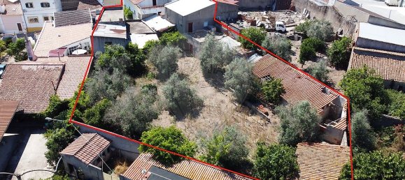 Дом с 5 спальнями в Tolosa, Португалия № 26160 6