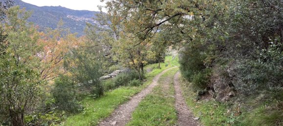 Terrain à Piève, France No. 47020 3