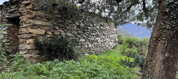 Terrain à Piève, France No. 47020 5