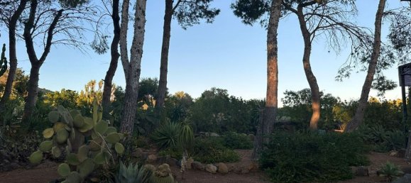 4 rooms Villa in Ustica, Italy No. 279434 50