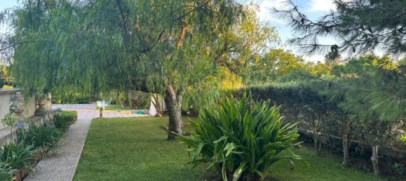 4 rooms Villa in Ustica, Italy No. 279434 3