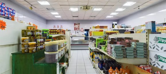 Коммерческая недвижимость 184м² в Ромийи-сюр-Сен, Франция № 229185 7