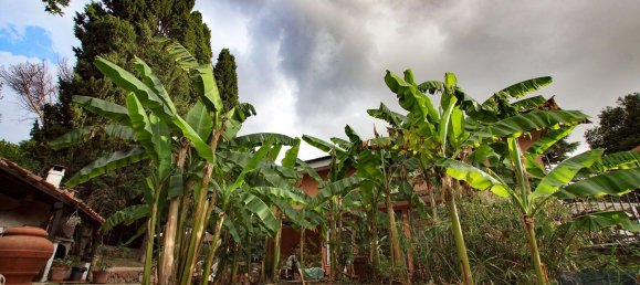 8 bedrooms Villa in Rome, Italy No. 377582 10