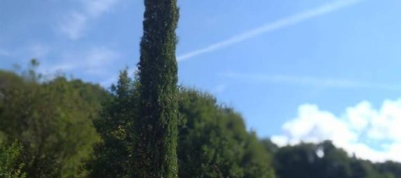 11-Zimmer Haus in Pomarance, Italy, Nr. 141645 19