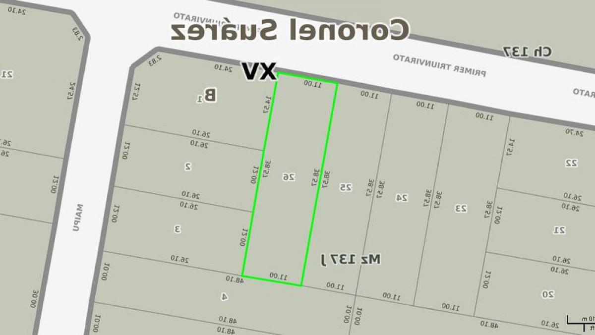  Land in Coronel Suarez, Argentina No. 41141