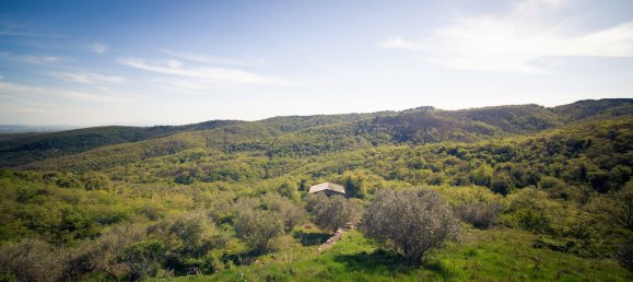 8 bedrooms House in Castelnuovo Berardenga, Italy No. 57548 10