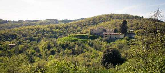 8 bedrooms House in Castelnuovo Berardenga, Italy No. 57548 3