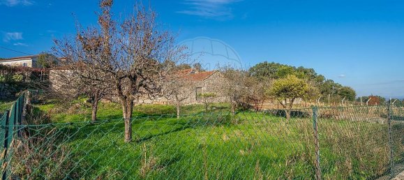 3 bedrooms House in Paredes, Portugal No. 24886 5