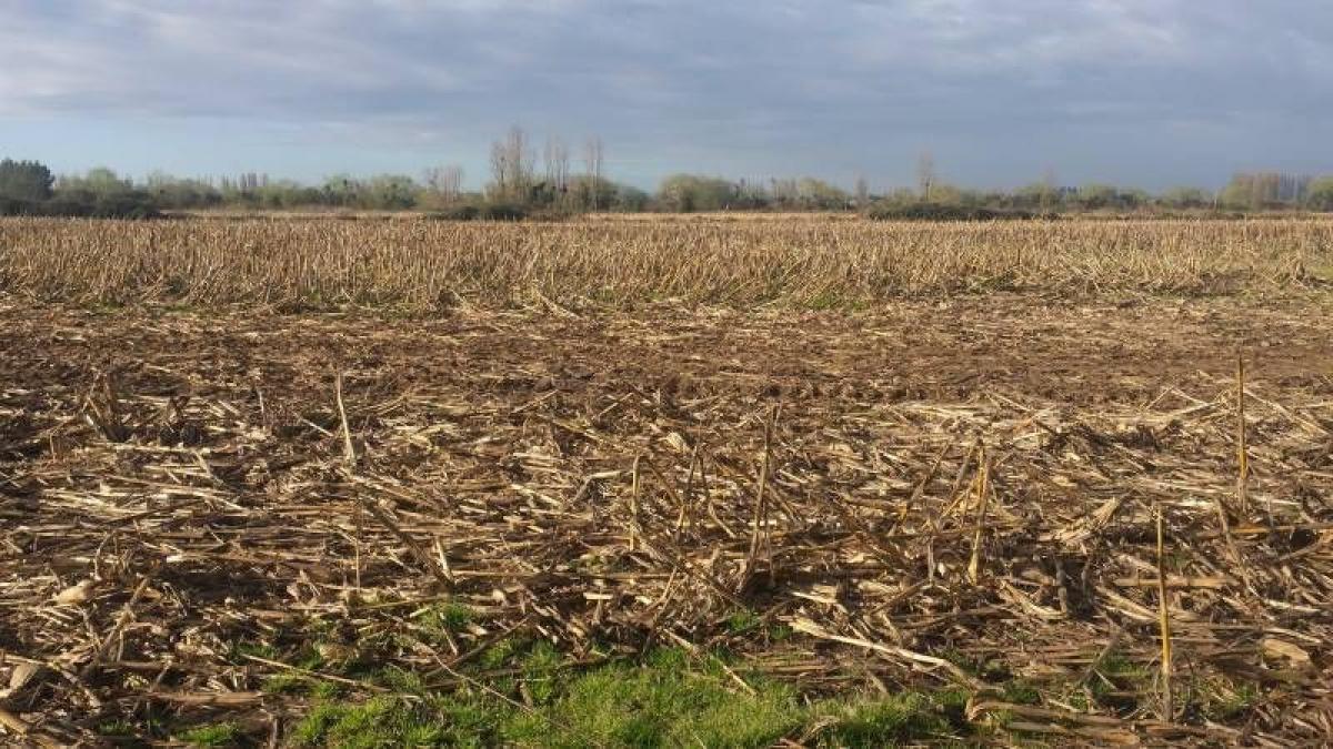  Land in Maule, Chile No. 918