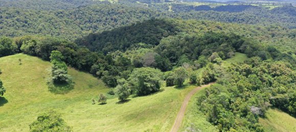 1019809m² Land in Millaa Millaa, Australia No. 831 6