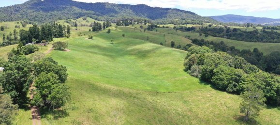 1019809m² Land in Millaa Millaa, Australia No. 831 4