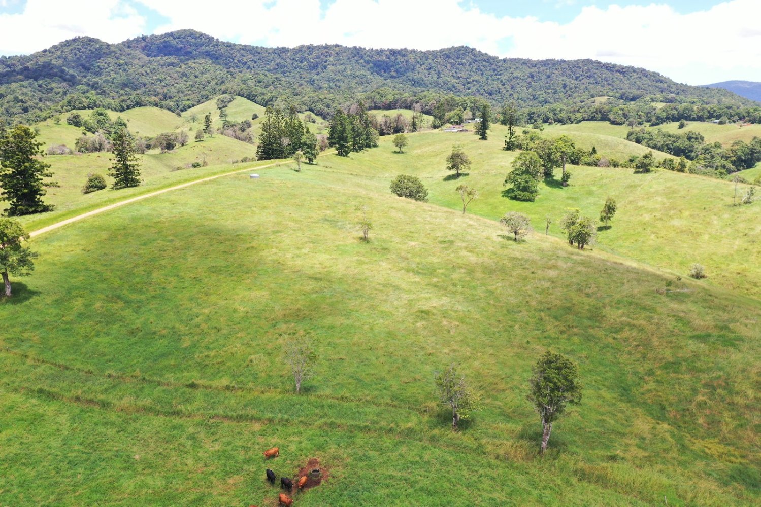 1019809m² Land in Millaa Millaa, Australia No. 831